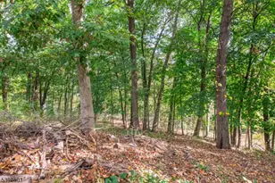 951 N Beverwyck Rd, Parsippany, NJ 07005 - Photo 39