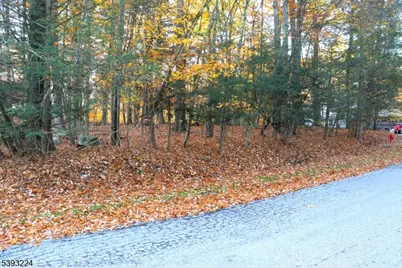 241 Old Chimney Ridge Road, Montague, NJ 07827 - Photo 5