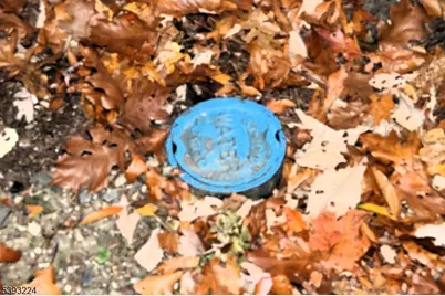 241 Old Chimney Ridge Road, Montague, NJ 07827 - Photo 9