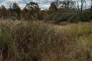 550 Barbertown Point Breeze, Kingwood Township, NJ 08822 - Photo 9