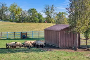 37 Pequest Rd, Green Township, NJ 07821 - Photo 49