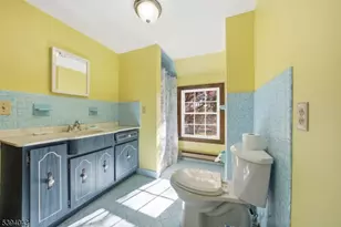 166 Anthony Rd, Lebanon Township, NJ 08826 - Photo 33