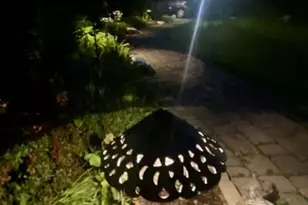 7 Stempert Rd, Frankford Township, NJ 07826 - Photo 49