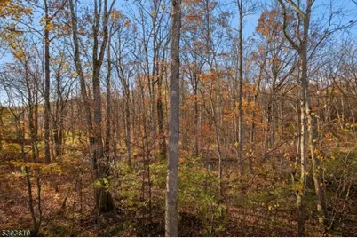 66 Whisper Way, Roxbury Township, NJ 07852 - Photo 37