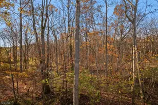 66 Whisper Way, Roxbury Township, NJ 07852 - Photo 37