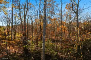 66 Whisper Way, Roxbury Township, NJ 07852 - Photo 33