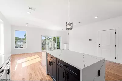 223 Monroe Ave, Plainfield, NJ 07063 - Photo 9