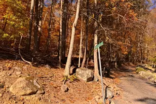 3 Rock N Wood, White Township, NJ 07823 - Photo 5