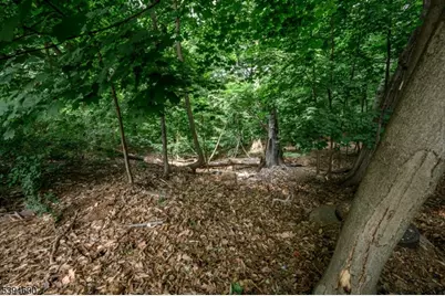 39 Forest Dr, Bloomfield, NJ 07003 - Photo 5