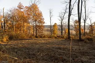 0 Asbury Broadway Rd, Franklin Township, NJ 08802 - Photo 11