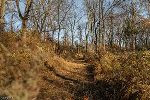 0 Asbury Broadway Rd, Franklin Township, NJ 08802 - Photo 5
