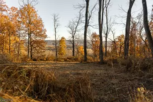 0 Asbury Broadway Rd, Franklin Township, NJ 08802 - Photo 3