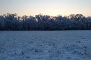 35 Barbertown Point Breeze, Kingwood Township, NJ 08825 - Photo 39