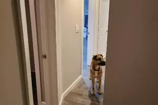 48 Washington St, Phillipsburg, NJ 08865 - Photo 9