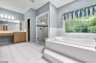 58 Brook Dr, Harding Township, NJ 07960 - Photo 15