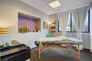 10 E Willow St, Millburn, NJ 07041 - Photo 17