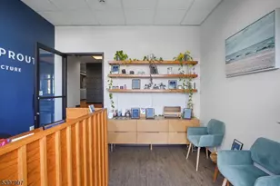 10 E Willow St, Millburn, NJ 07041 - Photo 27