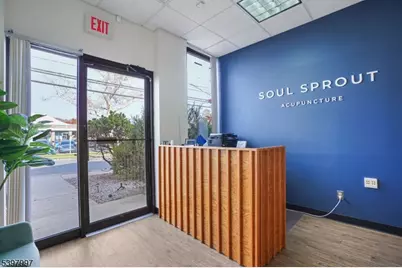 10 E Willow St, Millburn, NJ 07041 - Photo 5