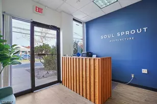 10 E Willow St, Millburn, NJ 07041 - Photo 5