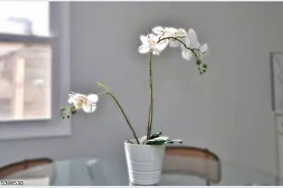 39 Grant Place, Irvington, NJ 07111 - Photo 15