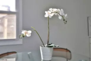 39 Grant Pl, Irvington, NJ 07111 - Photo 15