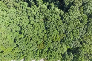 7 Settlers Ridge Ct, Washington Township, NJ 07853 - Photo 21