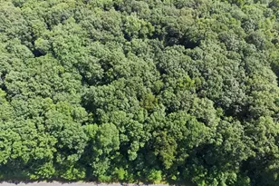 7 Settlers Ridge Ct, Washington Township, NJ 07853 - Photo 19