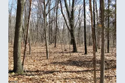 1333 State Route 57, Mansfield Township, NJ 07865 - Photo 3