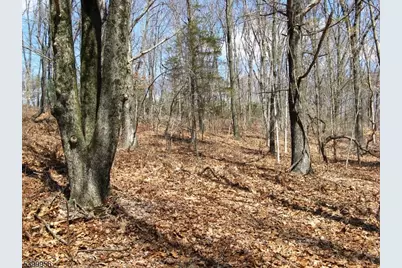 1333 State Route 57, Mansfield Township, NJ 07865 - Photo 5