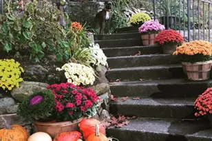 65A Indian Rd, Denville, NJ 07834 - Photo 23