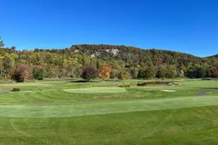 38 Goldfinch Dr, Allamuchy Township, NJ 07840 - Photo 29