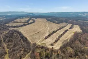 28 Serepta Rd, Knowlton Township, NJ 07832 - Photo 5