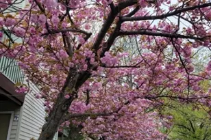 1709 Woodbridge Commons Way, Woodbridge Township, NJ 08830 - Photo 17