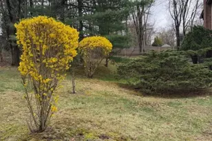 1 Glen Brook Ct, Hanover Township, NJ 07981 - Photo 9