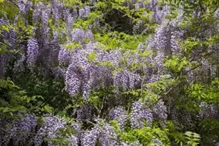 5 Summit Terrace N, Kinnelon, NJ 07405 - Photo 45