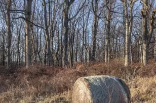 11 Logan Dr, Tewksbury Township, NJ 07830 - Photo 15