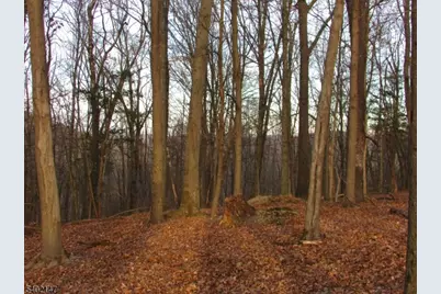 00 Clark Road, Wantage, NJ 07461 - Photo 9