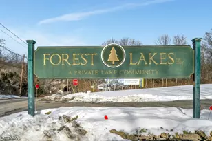 153 Forest Lake Dr, Byram Township, NJ 07821 - Photo 27