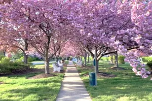 38 Park St, Florham Park, NJ 07932 - Photo 27