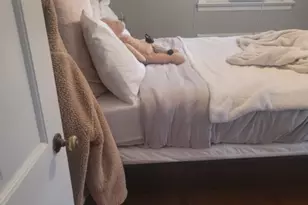 136 Birchwood Rd, Linden, NJ 07036 - Photo 19