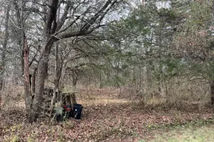 41 Goldenrod Dr, Montgomery Township, NJ 08502 - Photo 9