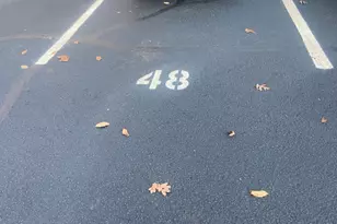 5G Terrace Dr, Chatham Township, NJ 07928 - Photo 13