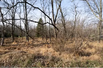 28 W Springtown Rd, Washington Township, NJ 07853 - Photo 1