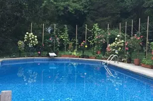 33 Ward Rd, Hardwick Township, NJ 07825 - Photo 47