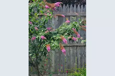 298 Boulevard, Pequannock Township, NJ 07444 - Photo 35