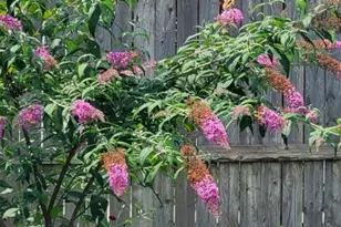 298 Boulevard, Pequannock Township, NJ 07444 - Photo 35