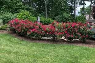 5 Fennimore Ct, Mount Olive, NJ 07836 - Photo 45