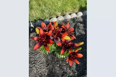 36 Wawayanda Rd, Vernon, NJ 07422 - Photo 21