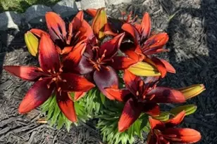 36 Wawayanda Rd, Vernon, NJ 07422 - Photo 21