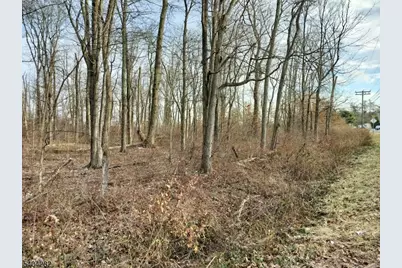 147 Rocktown Rd, East Amwell Township, NJ 08551 - Photo 5